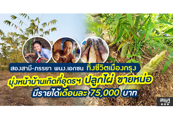 หางาน,สมัครงาน,งาน,สองสามี – ภรรยา พนง.เอกชน ทิ้งชีวิตเมืองกรุง มุ่งหน้าบ้านเกิดที่อุดรฯ ปลูกไผ่ ขายหน่อ รายได้เดือนละ 75,000 บาท